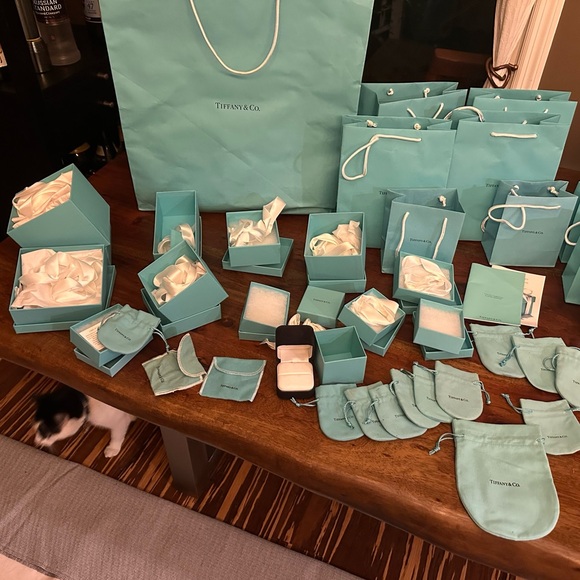 Tiffany, Louis Vuitton, Dior, Gucci & Jimmy Choo Shopping Bags and Boxes. - Picture 8 of 12